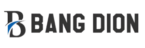 travelbangdion